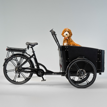 SWEDEN Flex Dogin sähkölaatikko CARGOBIKE