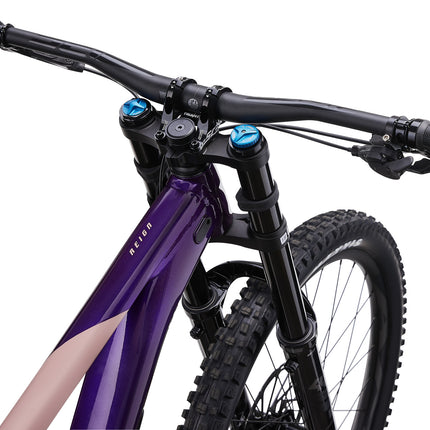 Maastopyörä GIANT Reign SX, Purple/Petra Clay (L)