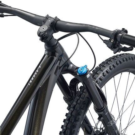 Maastopyörä GIANT Trance X 29 1, Panther (L)