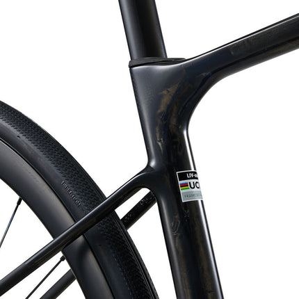 Maantiepyörä LIV Avail Advanced Pro 0, Carbon (L)