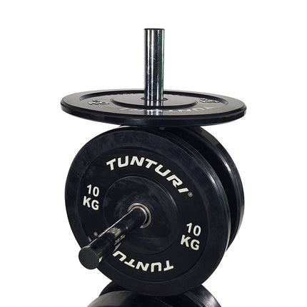 Tunturi Pystypuskurilevyteline painolevyille