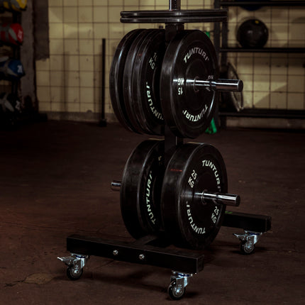 Tunturi Pystypuskurilevyteline painolevyille