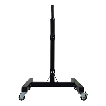 Tunturi Pystypuskurilevyteline painolevyille