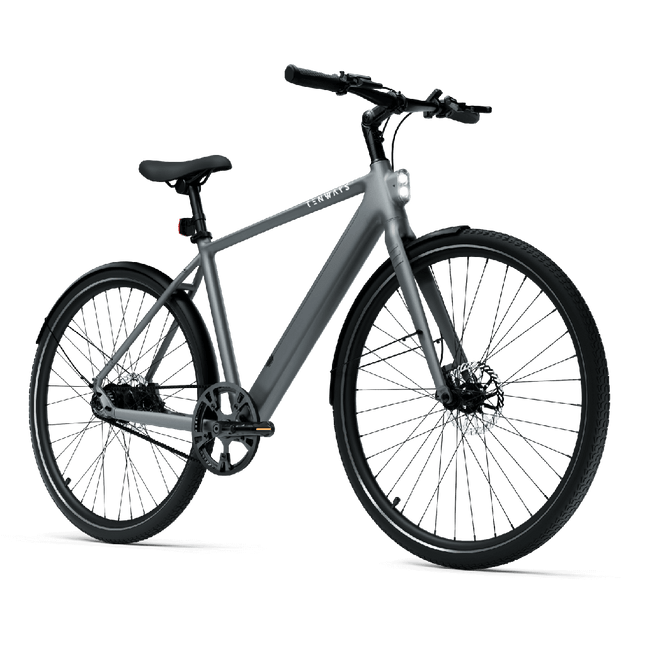 Sähköpyörä TENWAYS CGO600 PRO, vaaleanharmaa (XL)