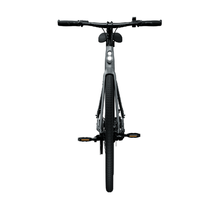 Sähköpyörä TENWAYS CGO600 PRO, vaaleanharmaa (M)