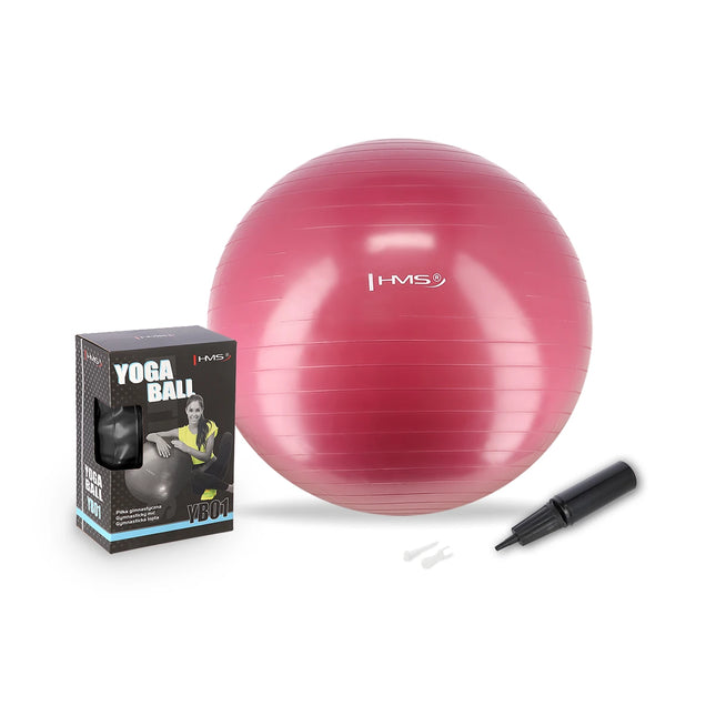 Voimistelupallo HMS YB01N Gym Ball 65 cm, pinkki