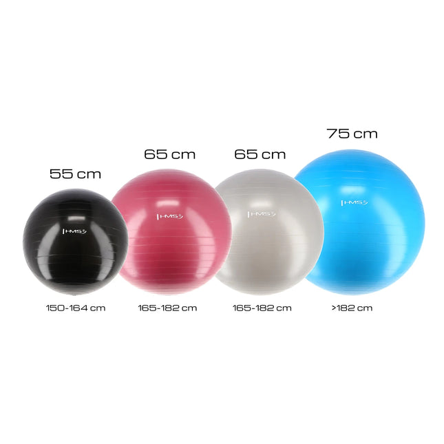 Voimistelupallo HMS YB01N Gym Ball 65 cm, pinkki