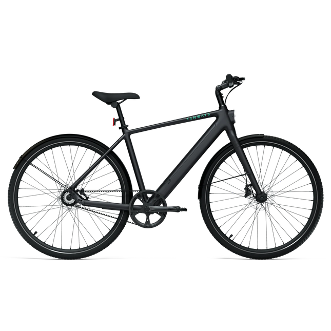 Sähköpyörä TENWAYS CGO600 PRO, Midnight Black (XL)