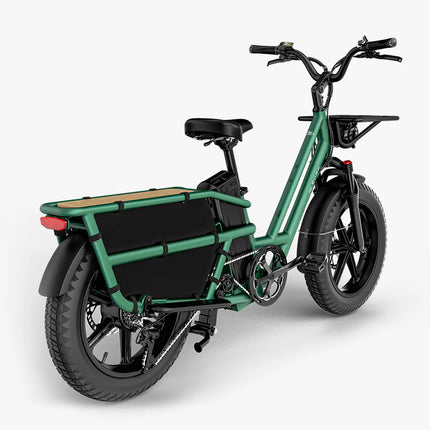Electric Cargo Bike FIIDO T2 Longtail Cargo, Forest Green