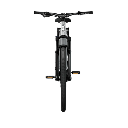 Sähköpyörä: TENWAYS AGO X, 29" Gradient Silver (L)