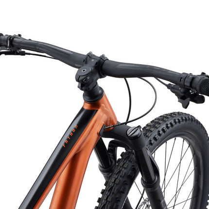 Polkupyörä Giant Fathom 29 1, Amber Glow (S)