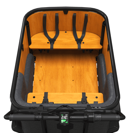 Sähkölaatikko CANGOO Buckle Up