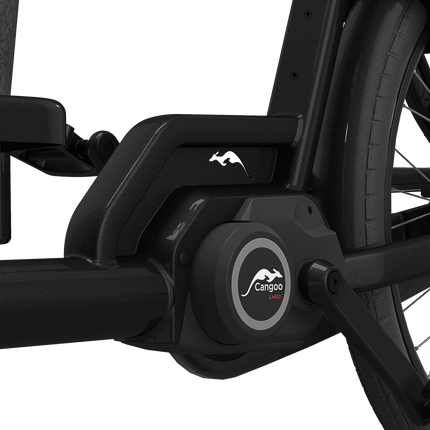 Sähkölaatikko CANGOO Buckle Up