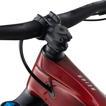 Maastikuratas GIANT Reign Advanced 2, 29" Sangria/Hiili (L)