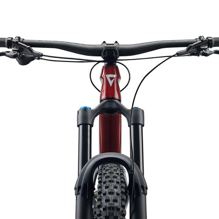 Maastikuratas GIANT Reign Advanced 2, 29" Sangria/Hiili (L)