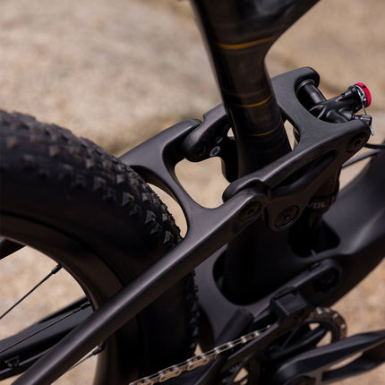 Maastopyörä LIV Pique Advanced 29 1, Raw Carbon (S)