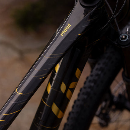 Maastopyörä LIV Pique Advanced 29 1, Raw Carbon (XS)