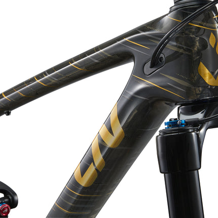 Maastopyörä LIV Pique Advanced 29 1, Raw Carbon (XS)