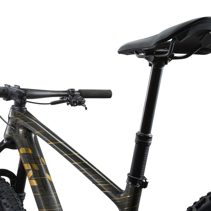 Maastopyörä LIV Pique Advanced 29 1, Raw Carbon (S)