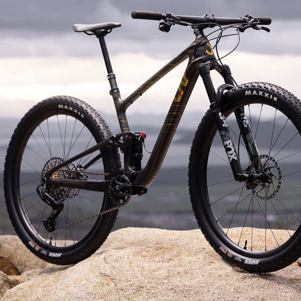 Maastopyörä LIV Pique Advanced 29 1, Raw Carbon (M)