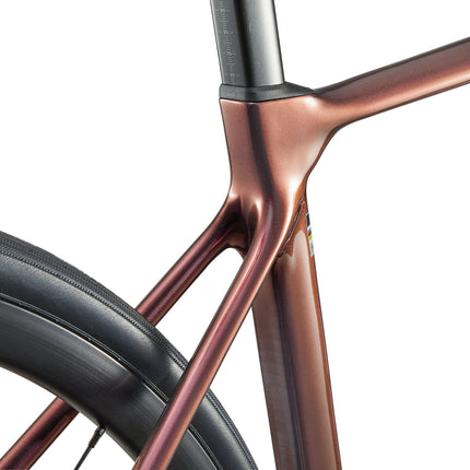 Naisten maantiepyörä LIV Langma Advanced 1 PC (2025) Mechanic Rose (M)