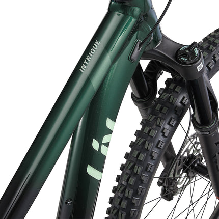 LIV Intrigue 29 1 naisten maastopyörä, Kelp Forest (S)