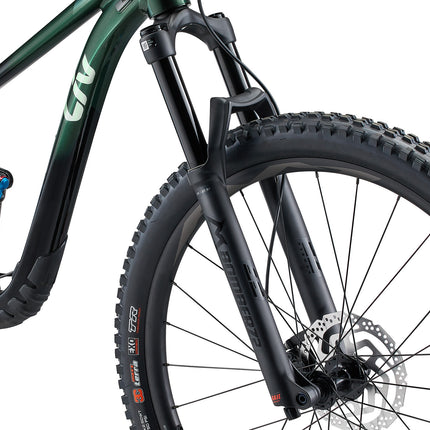 LIV Intrigue 29 1 naisten maastopyörä, Kelp Forest (L)