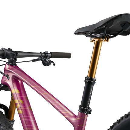 Naisten maastopyörä LIV Pique Advanced 29 0, Mulberry Glitter (L)